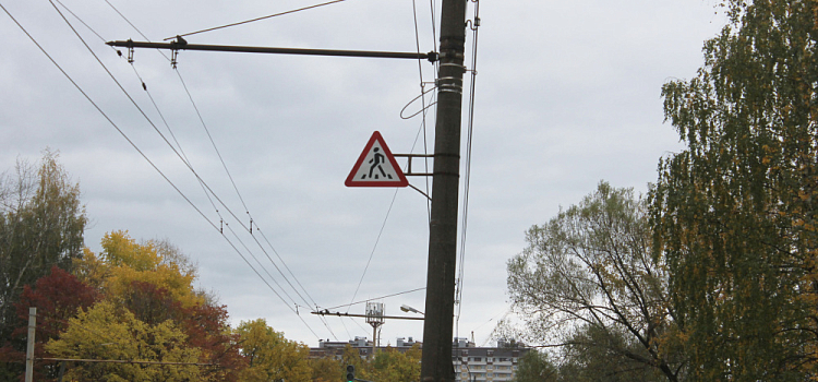 Госавтоинспекция предупреждает: переходя дорогу, не забывайте о Правилах дорожного движения