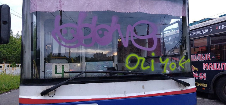 Несколько случаев за неделю: ярославские подростки продолжают уродовать общественный транспорт_247669