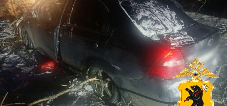 Не заметили упавшее дерево: в Ярославской области женщина пострадала в ДТП