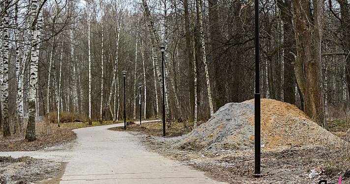 Подрядчика Павловской рощи оштрафовали за срыв сроков благоустройства