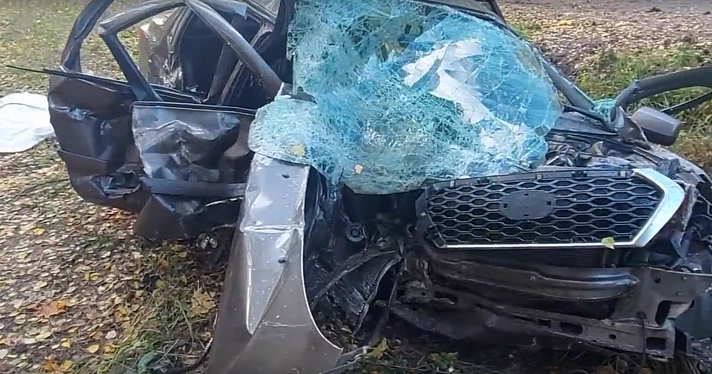 В Ярославской области осудят водителя, по вине которого в ДТП погибла семья с девятилетним ребенком_242499