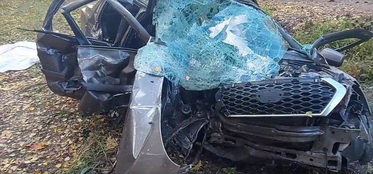 В Ярославской области осудят водителя, по вине которого в ДТП погибла семья с девятилетним ребенком_242499