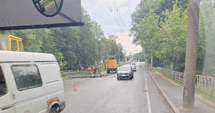 В Ярославле упавшее дерево оборвало провода и повалило столб прямо на дорогу