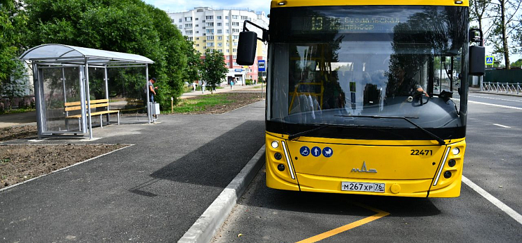 Экс-хоккеист «Локомотива» раньше срока отремонтировал улицу Калинина в Ярославле_244766