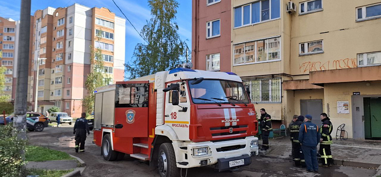 Два человека пострадали при пожаре в высотке в Дзержинском районе Ярославля_304571