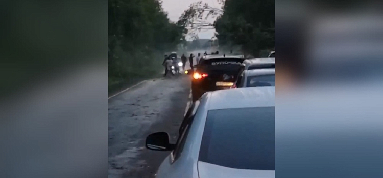 В Ярославской области из-за сильного ветра деревья рухнули прямо на дорогу