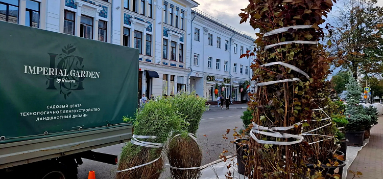 Улицу Депутатскую в Ярославле заполняют мобильным озеленением_321523