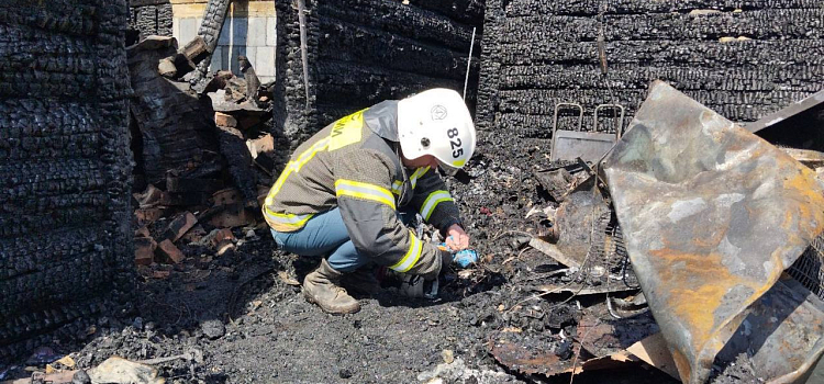 В МЧС назвали причины пожара в селе Ярославской области, унёсшего жизни пенсионера и его внука_272749