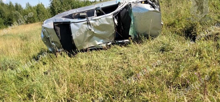 Скончался до приезда скорой: в Ярославской области произошло смертельное ДТП