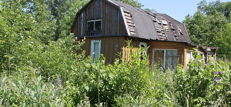 Вынес на 170 тысяч рублей: ярославские полицейские поймали дачного вора
