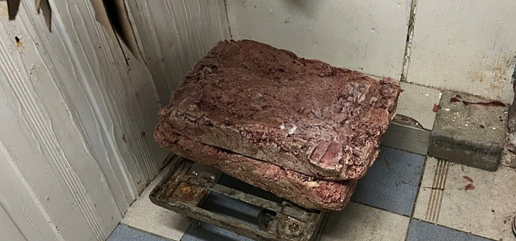 Ярославский производитель кормил солдат опасными пельменями