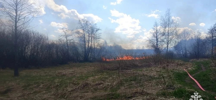 В Ярославле произошёл большой пал сухой травы_315508