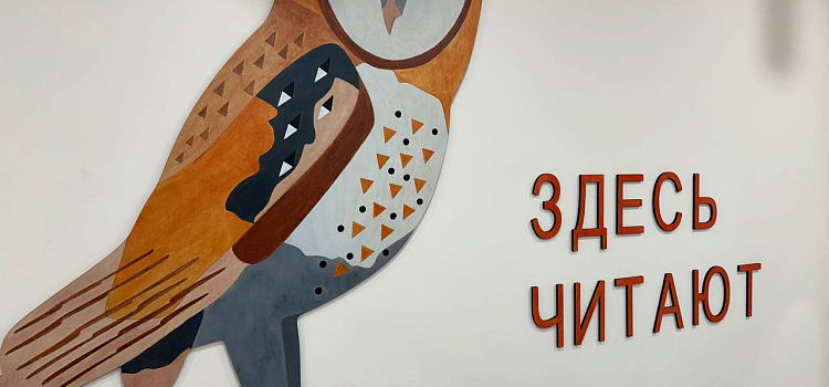 В отдалённом округе Ярославской области открыли библиотеку нового поколения_304290