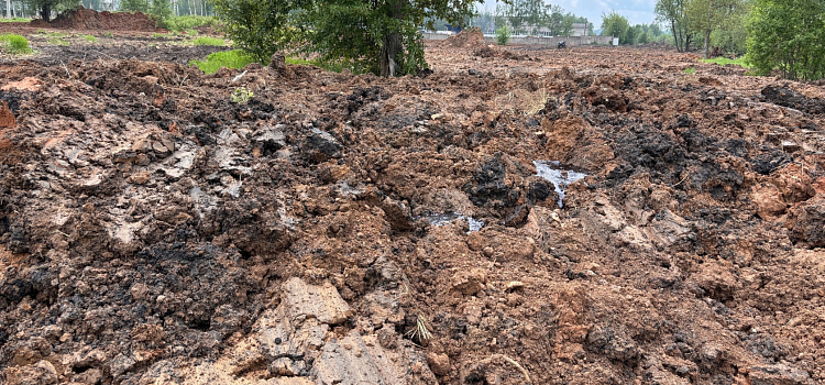 Чёрная смесь из-под земли и химический запах на всю округу: на Резинотехнике на поле с отходами гибнет всё живое_274365