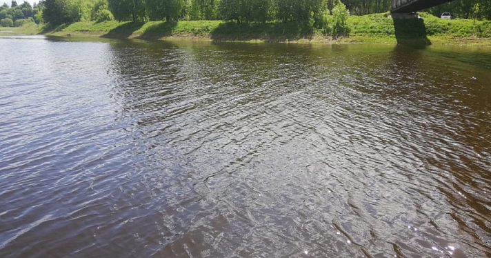 Наказаны 153 человека: в Ярославской области проверили реку Ить