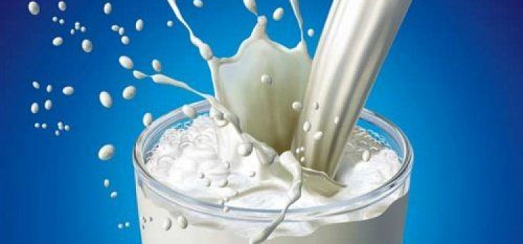  В Ярославской области школьники начальных классов будут получать молоко 