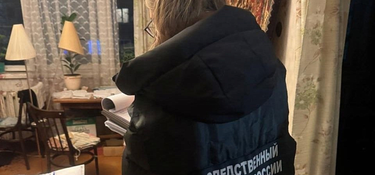 Исполосовавшего ножом старушку брагинца принудительно направят в психиатрическую больницу