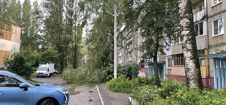 В Ярославле фонарный столб рухнул на ребёнка_299548