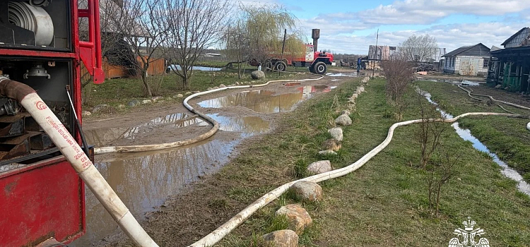 Сигарета привела к пожару: в Ярославской области погибли люди и животные_314972