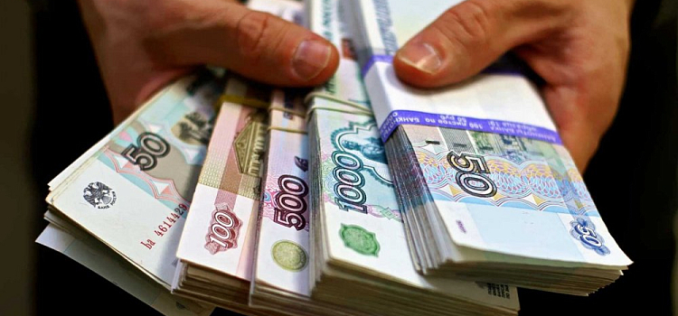 Рыбинские экоактивисты направили деньги на благотворительность
