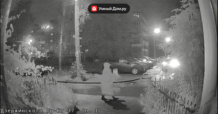 Срезает и продаёт: в Ярославле неизвестная ворует цветы с клумб