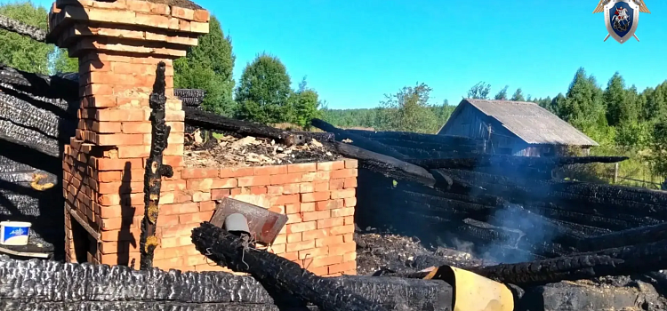 В деревне Ярославской области при пожаре погибла женщина_321290