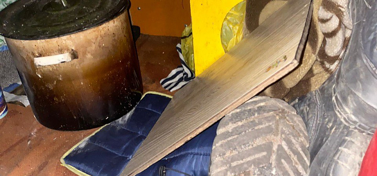 Пропавшая с детьми женщина из Ярославской области жила в лесу в самодельном шалаше_269383