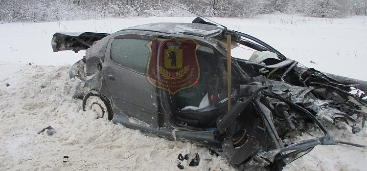 В ДТП под Переславлем-Залесским погибла женщина_309526
