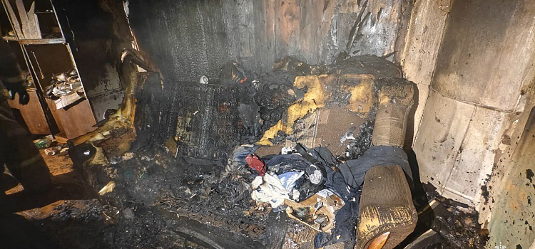Погибли 150 птиц: в Ярославской области сгорел птичник_305589