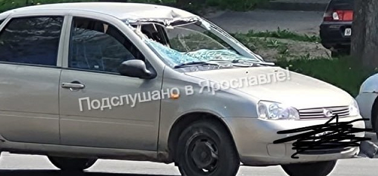 Лобовое вдребезги: в Ярославле легковушка сбила лося_240416