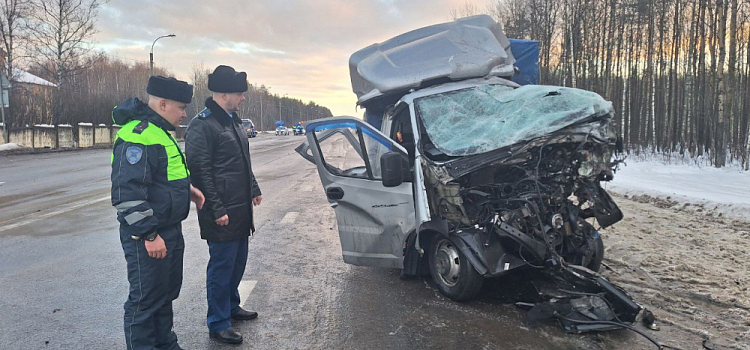Скончались трое: возможный виновник ДТП в Ярославском районе был пьян