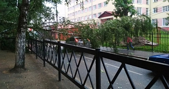 Ливень и сильный ветер снова обрушились на Ярославль: фото
