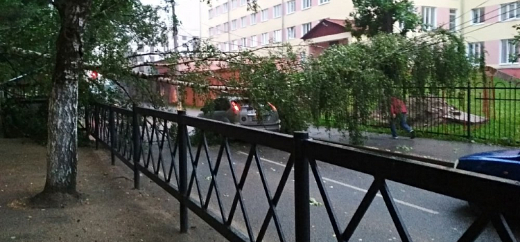 Ливень и сильный ветер снова обрушились на Ярославль: фото