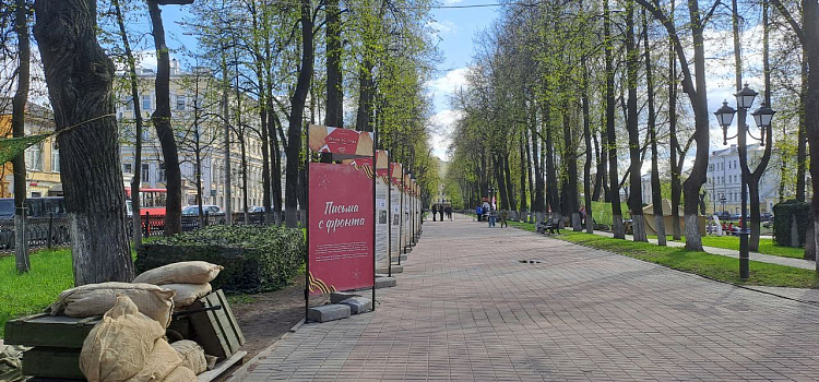 Уникальные вещи с полей сражений: в центре Ярославля развернулась интерактивная выставка ко Дню Победы_239375