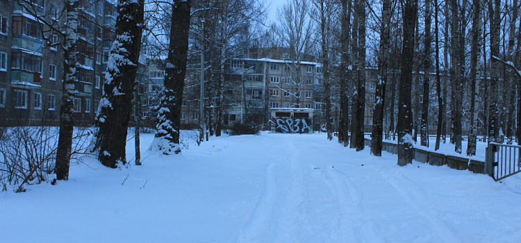 Ярославским ученикам разрешили не приходить в школу, если на улице холодно
