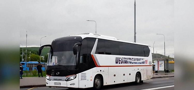 В Ярославле возобновили движение автобусов до Санкт-Петербурга