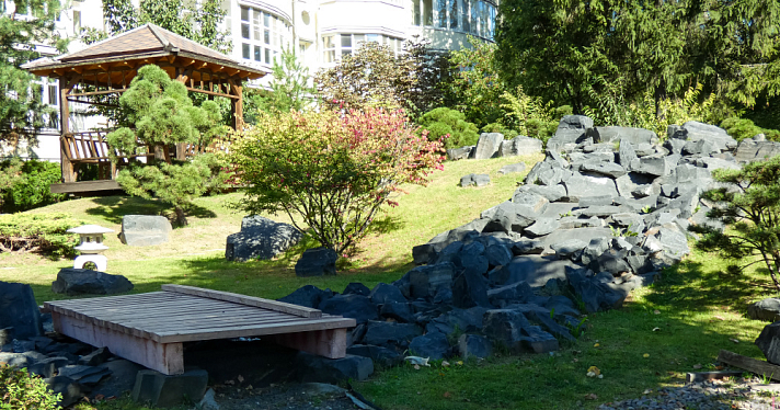 Островок природы среди каменных джунглей: фоторепортаж из Ботанического сада Ярославского педагогического