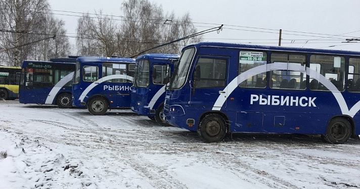 В Рыбинске появился брендированный общественный транспорт. Фото