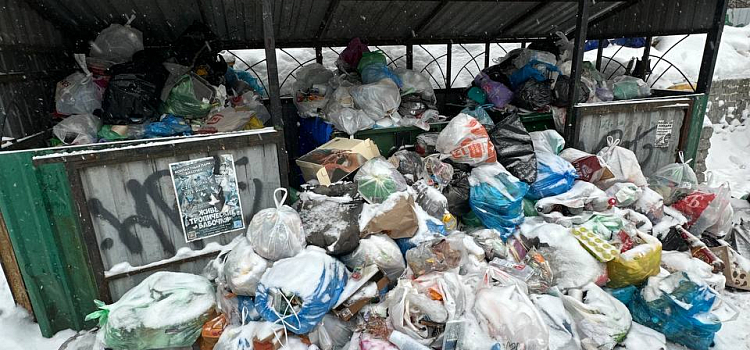 Ярославцам пояснили, почему возникли проблемы с вывозом мусора_312024