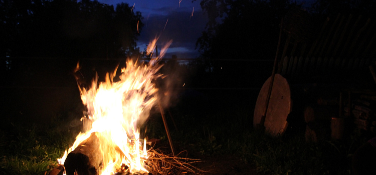 Ярославцам запретили разводить костры