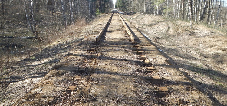 Под Ярославлем с железной дороги украли более 400 метров рельсов_270599