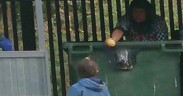 Ярославские полицейские заинтересовались копошащейся в помойке женщиной с ребенком