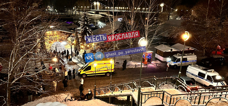 Включилась пожарная тревога: организаторы вечеринки высказались по поводу давки в ярославском клубе