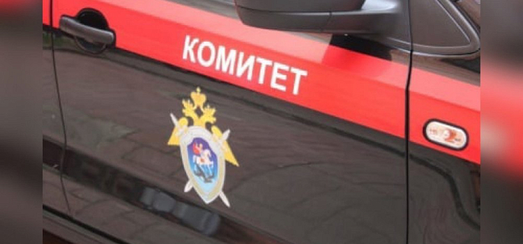 В Ярославской области четырехлетнюю девочку насмерть придавило спиленным деревом