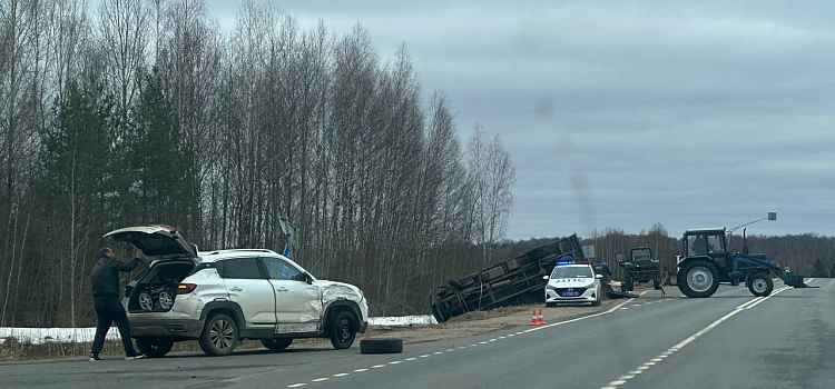 Животные погибли: в Ярославской области опрокинулся фургон, перевозивший коров_269055