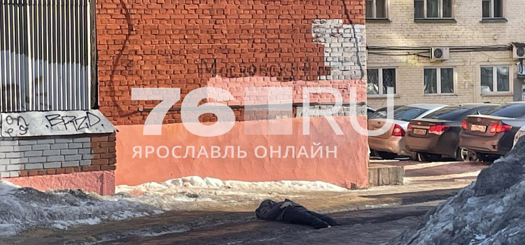 «Кроссовок валялся в полутора метрах от него»: в Ярославле обнаружили тело парня под окнами многоэтажки