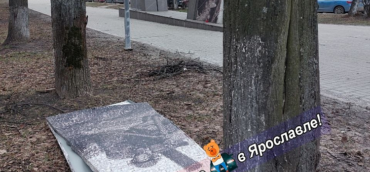 В Ярославле сильный ветер повалил дерево на машины и повредил памятник_293777