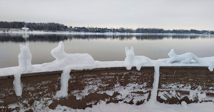 В Рыбинске поселились разноцветные коты из снега_261069