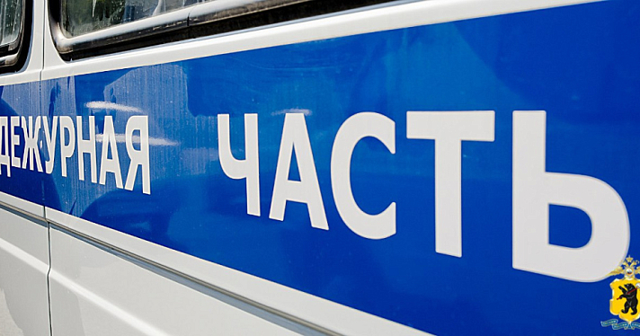 В Ярославле в магазине у девушки украли телефон под предлогом срочного звонка бабушке