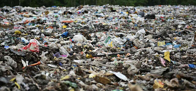 Под Ярославлем может появиться комплекс по переработке отходов